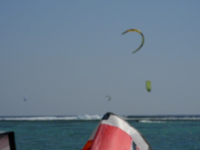 Mauritius 2007 - 495